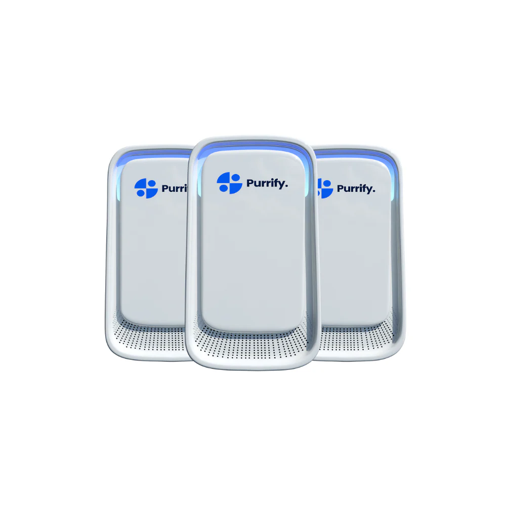 Purrify - Image 2